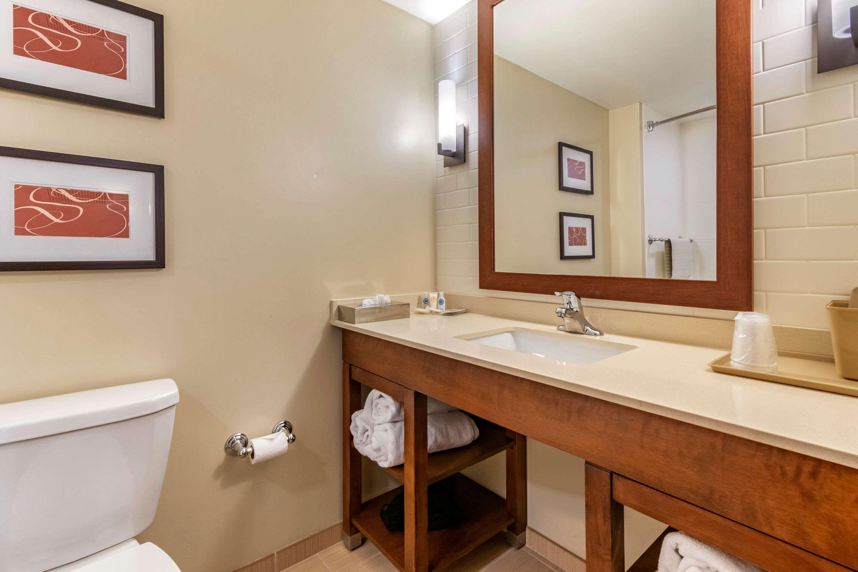 Comfort Suites Manheim - Lancaster Dış mekan fotoğraf